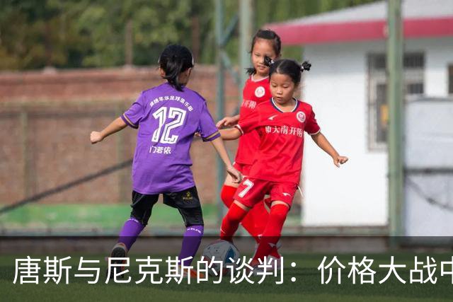 唐斯与尼克斯的谈判：价格大战中的百转千回